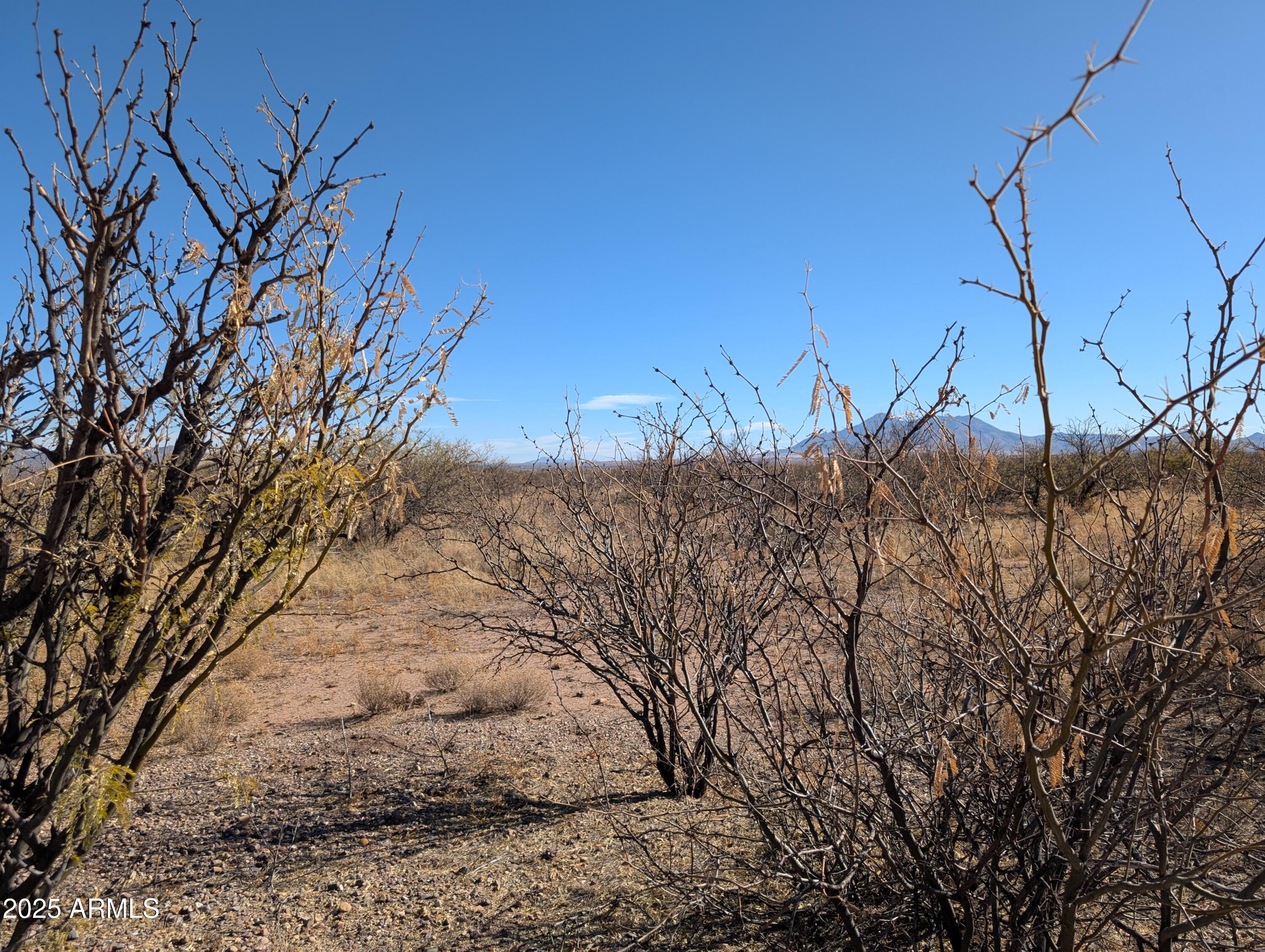 3 Canyons Ranch - Land