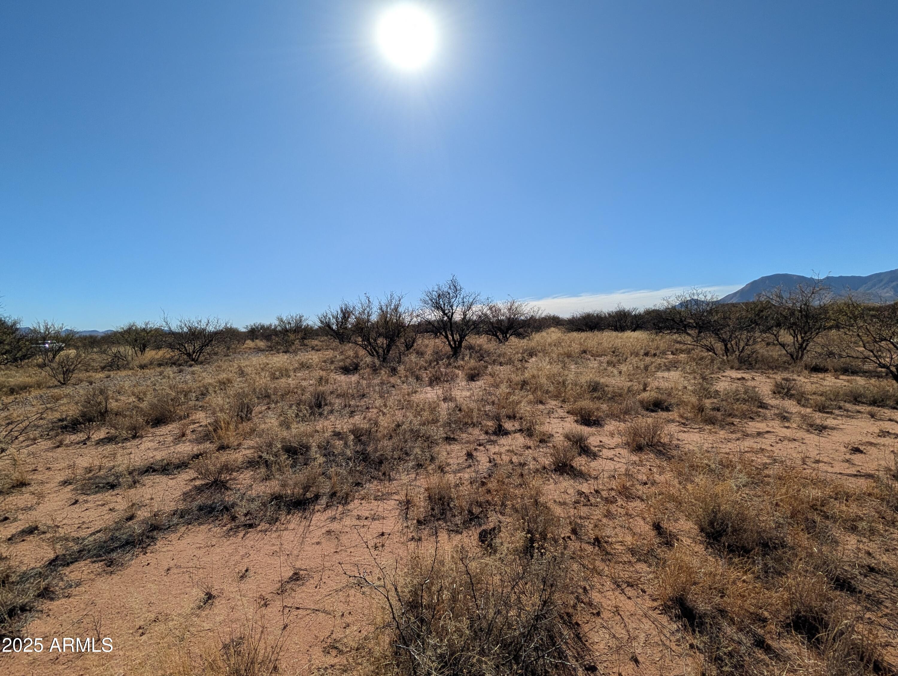 3 Canyons Ranch - Land
