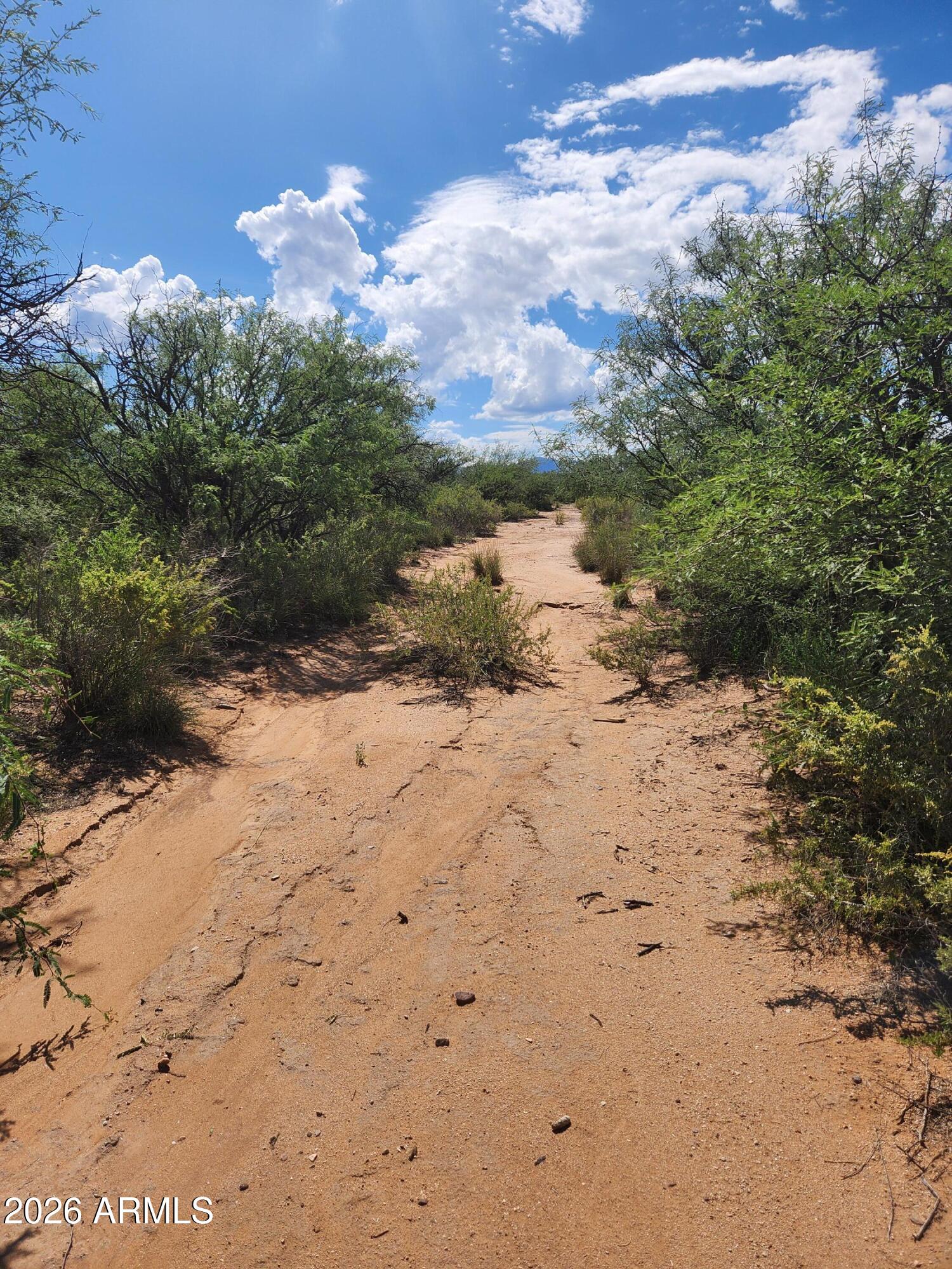 4574 S CALLE ELDORADO -- 21