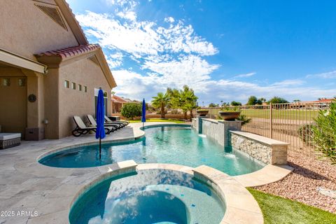 14324 W ROBERTSON Drive Sun City West AZ 85375