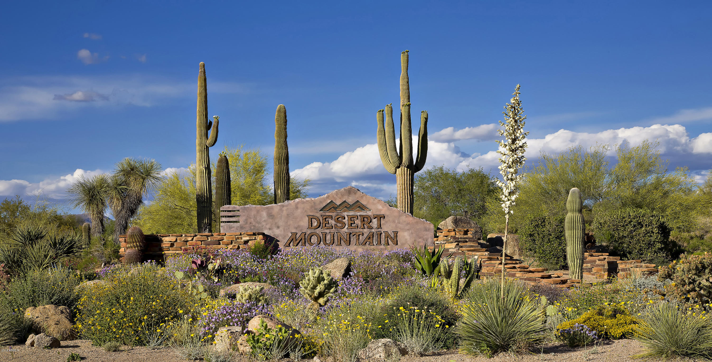 Desert Mountain - Residential