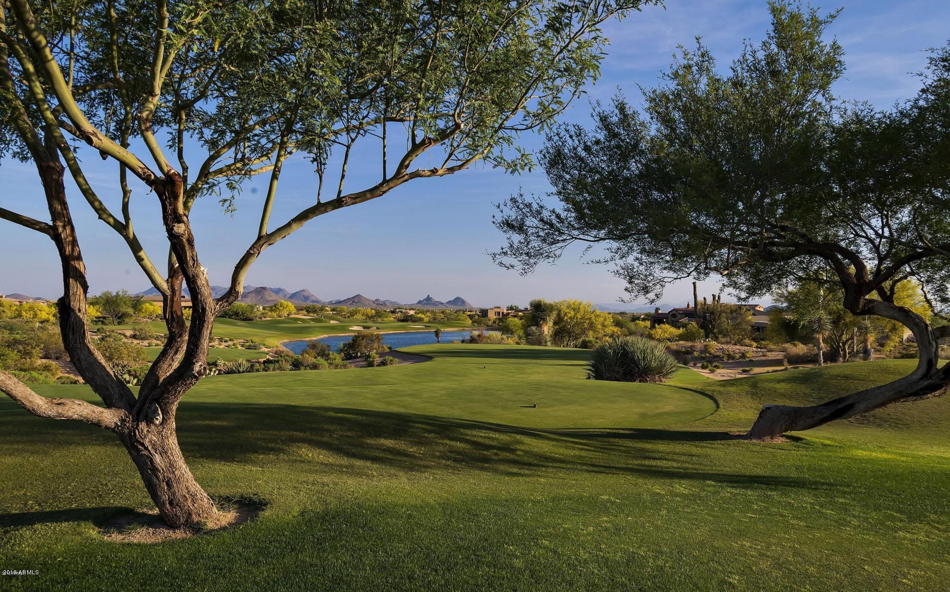 Desert Mountain - Residential