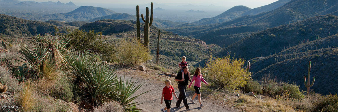 Desert Mountain - Residential