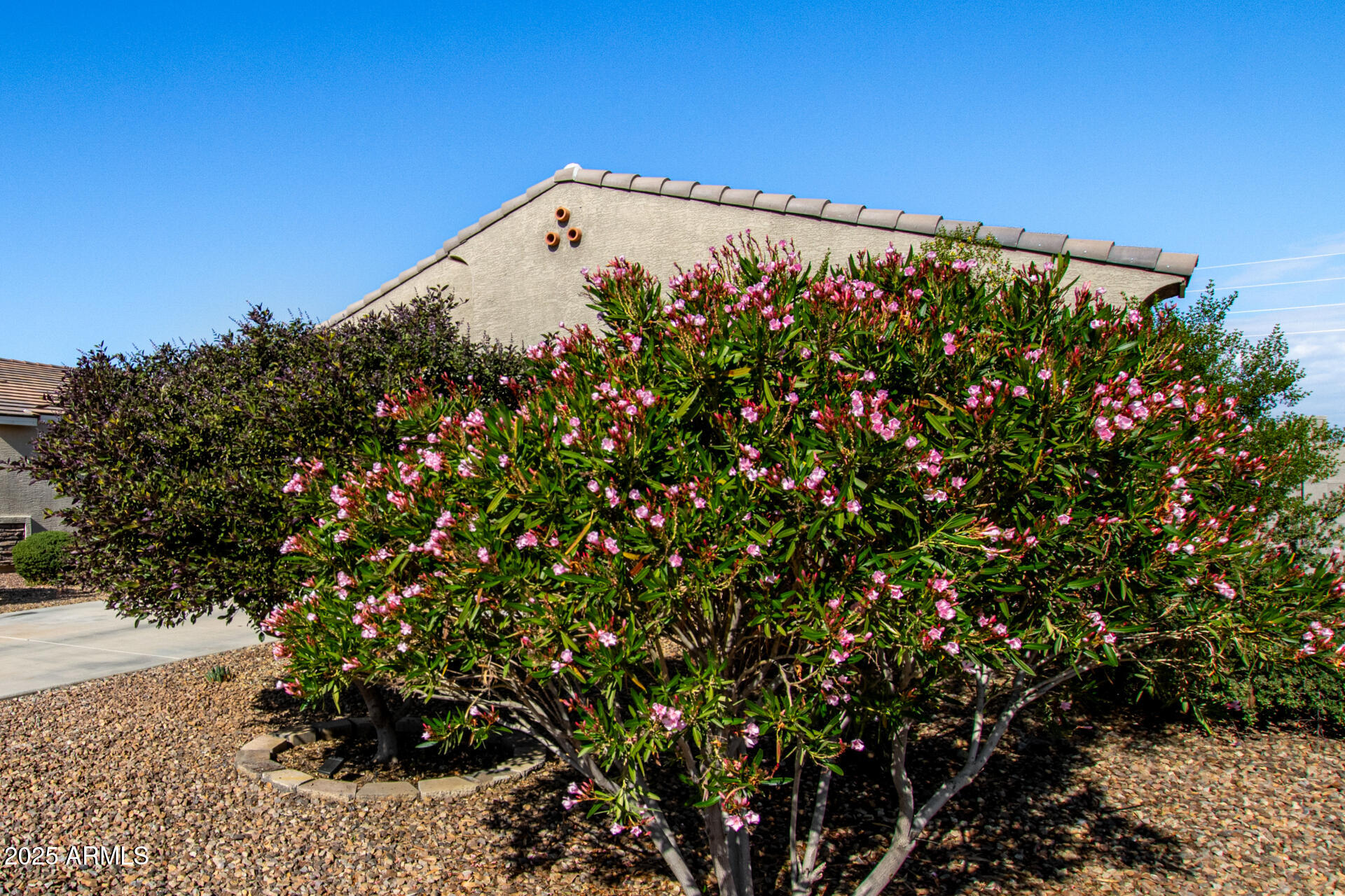 Homes for Sale in Queen Creek Arizona 1 7286 E BOBWHITE Court