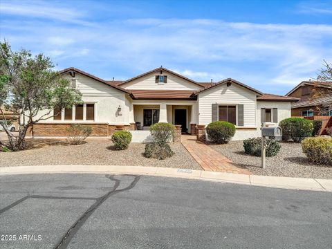 21930 E TIERRA GRANDE Court Queen Creek AZ 85142