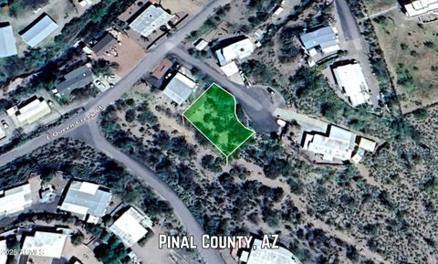 226 N MIRRIAM Court 8 Queen Valley AZ 85118