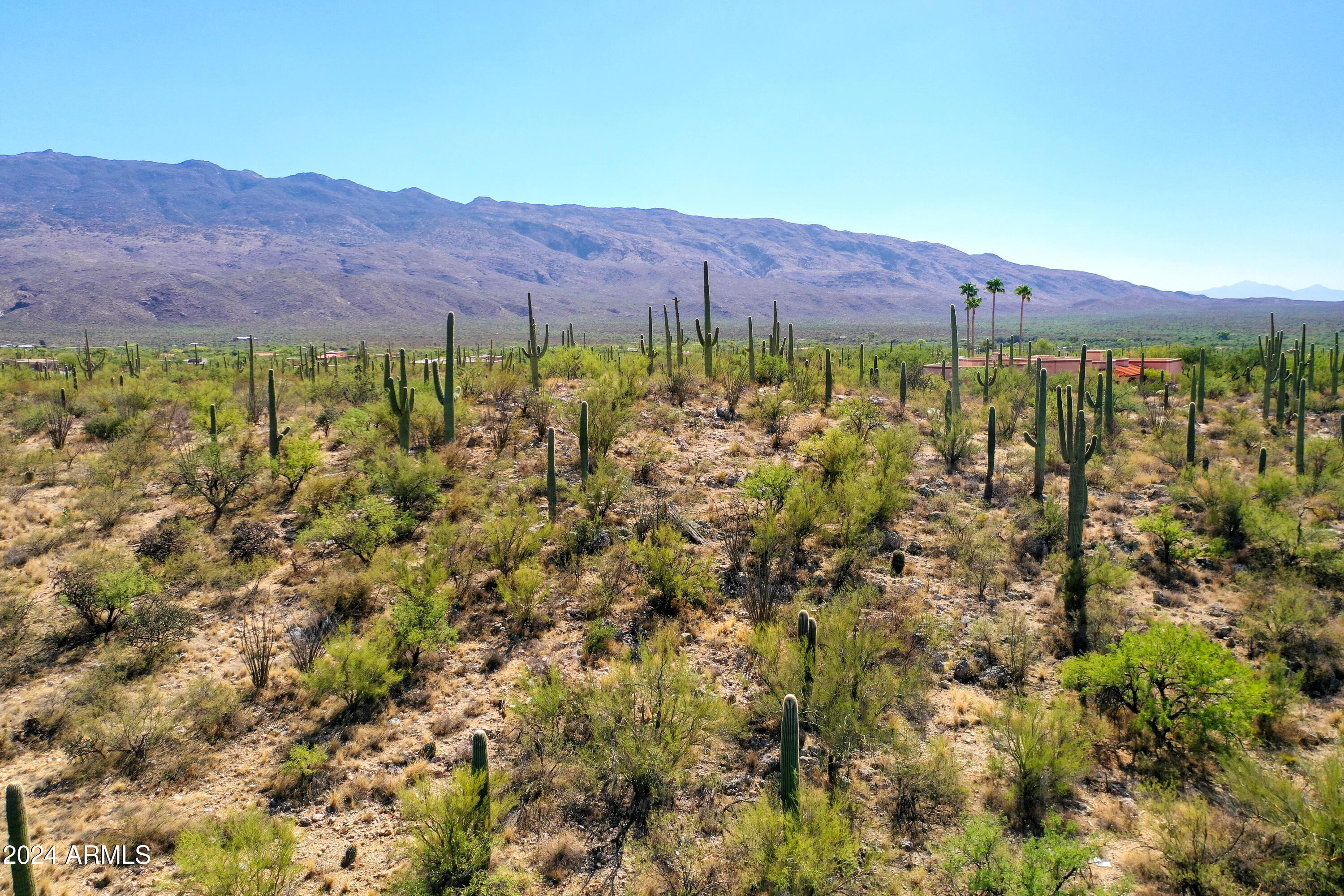 2510 N AVENIDA SORGO -- N 00097