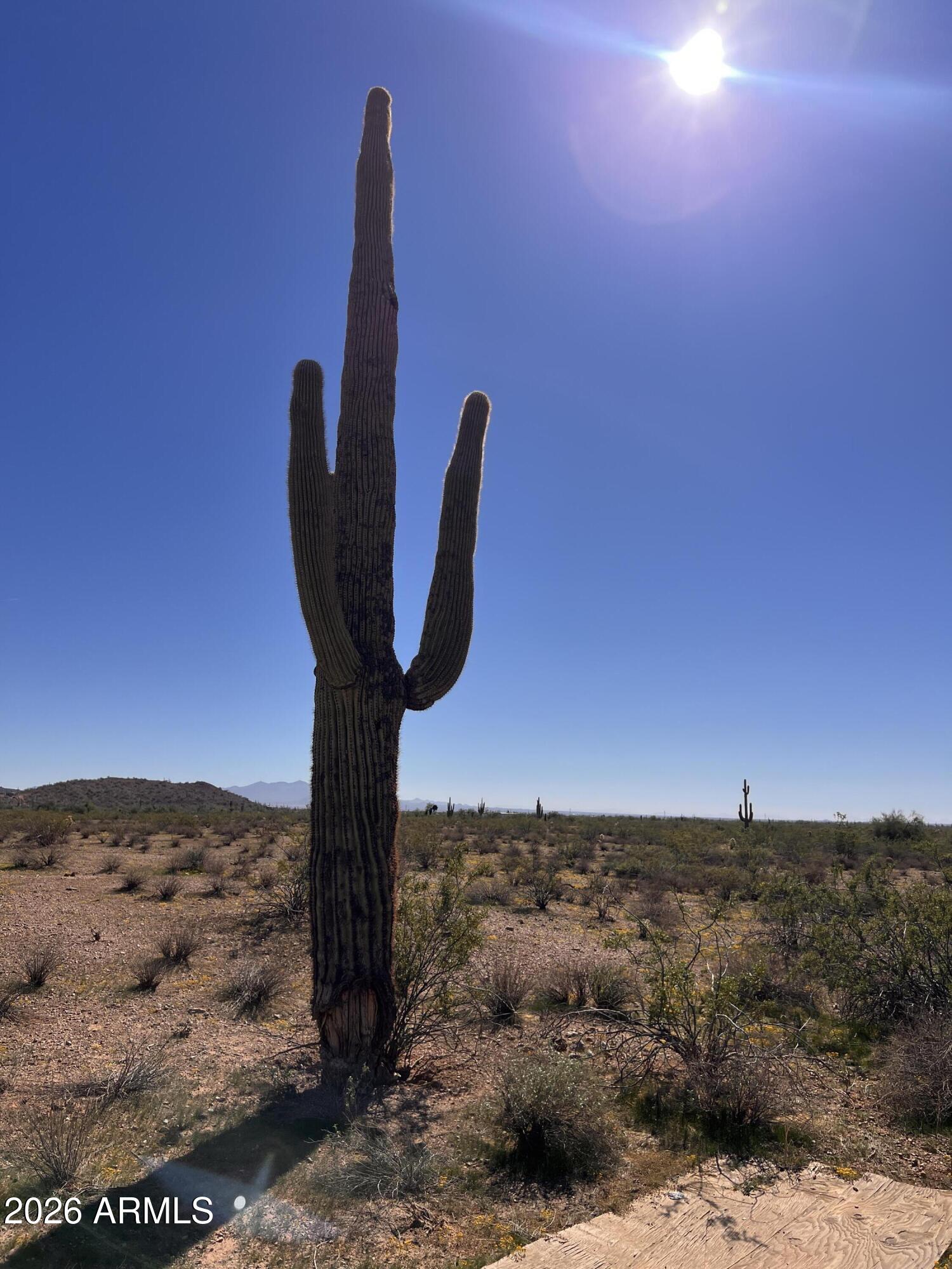 31XXX W Carlise Road 105