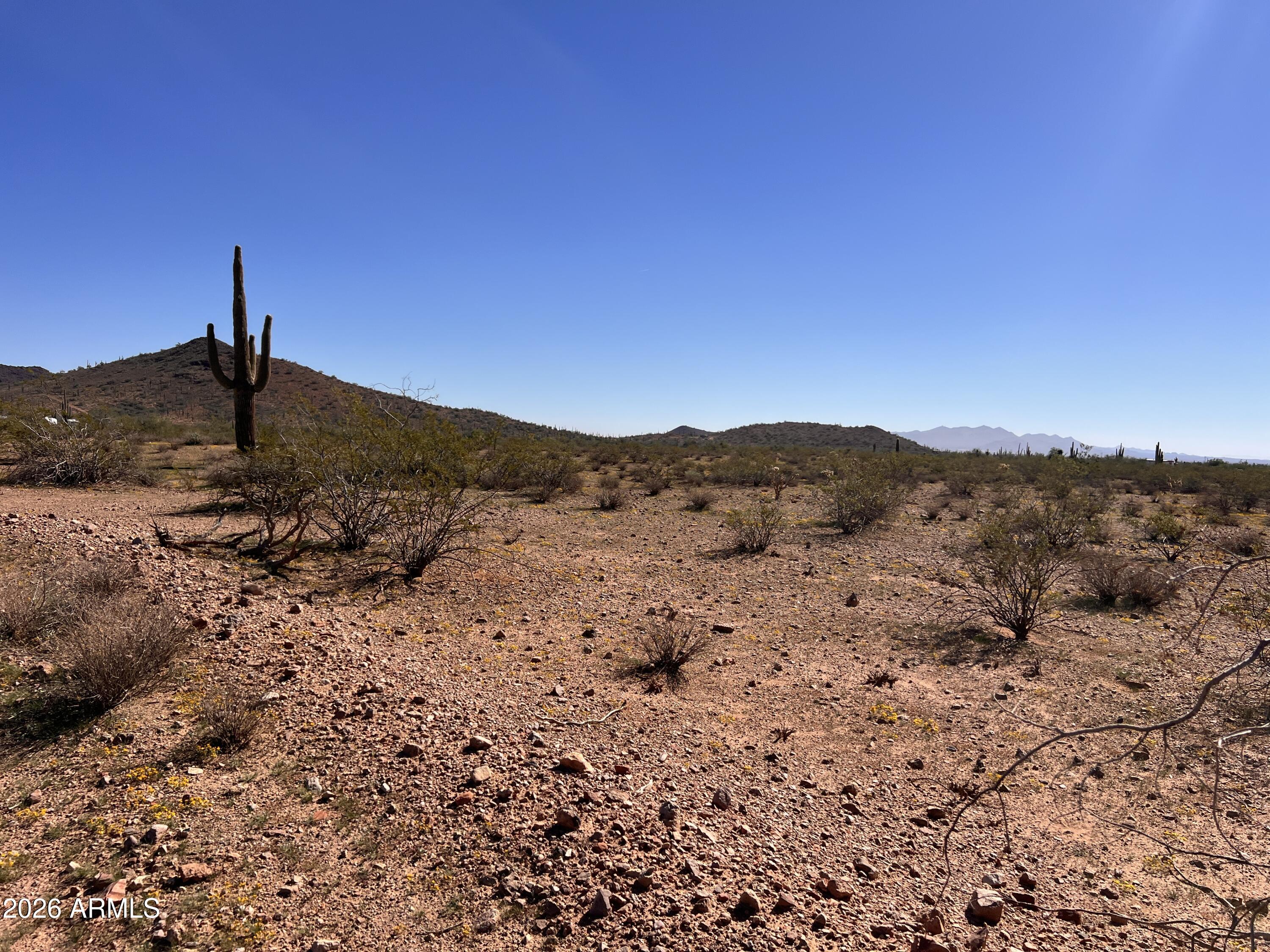 31XXX W Carlise Road 105