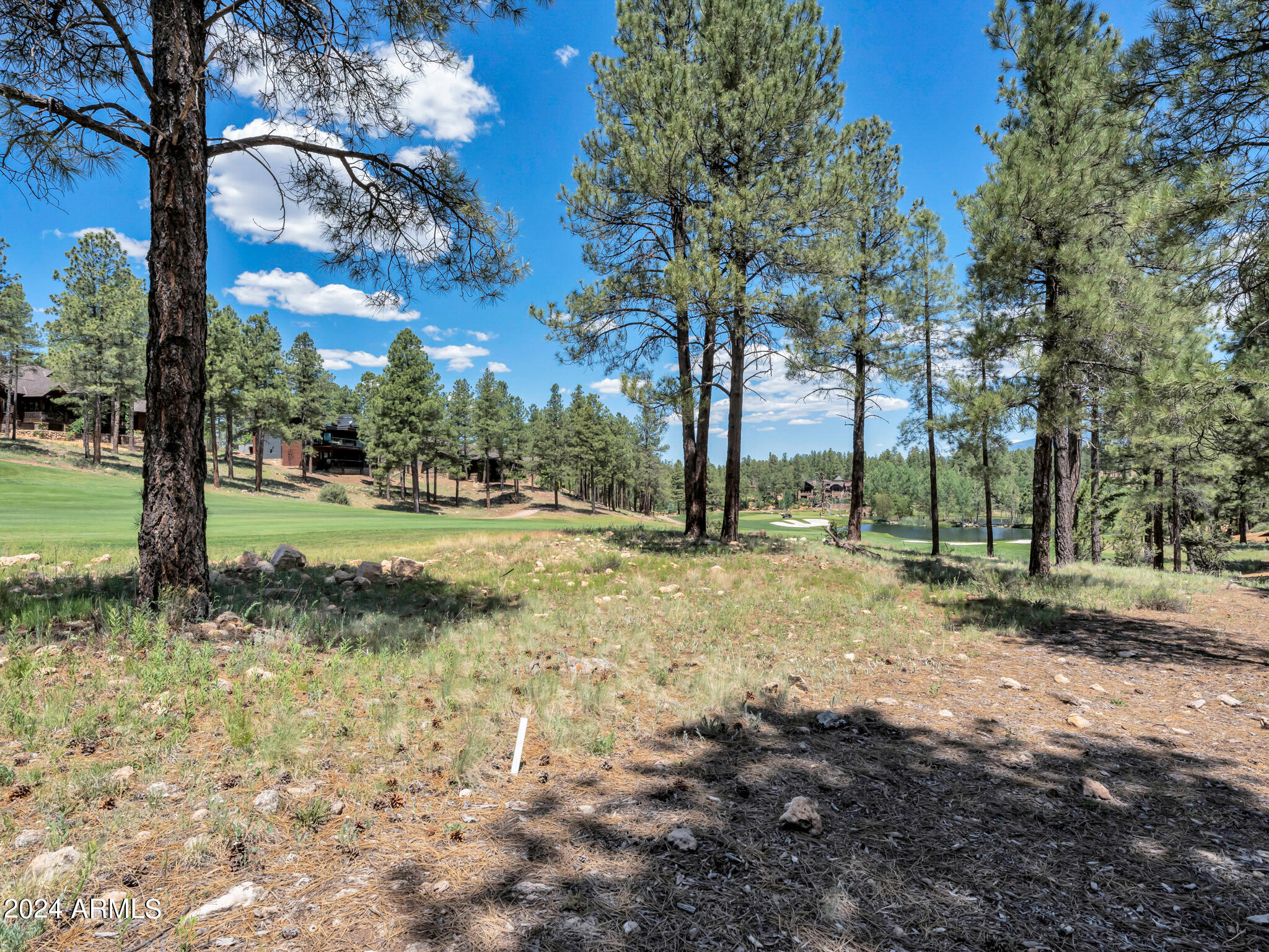 Pine Canyon - Land
