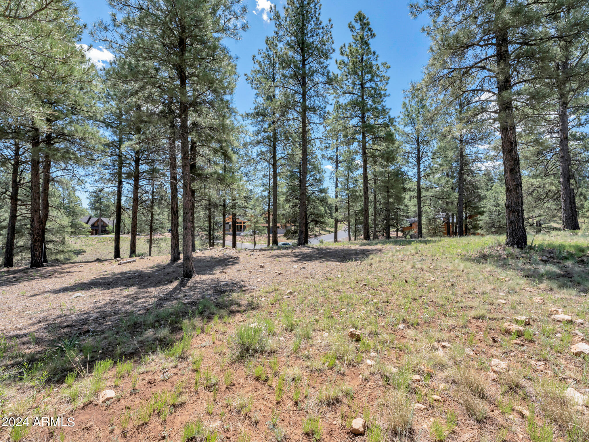 Pine Canyon - Land