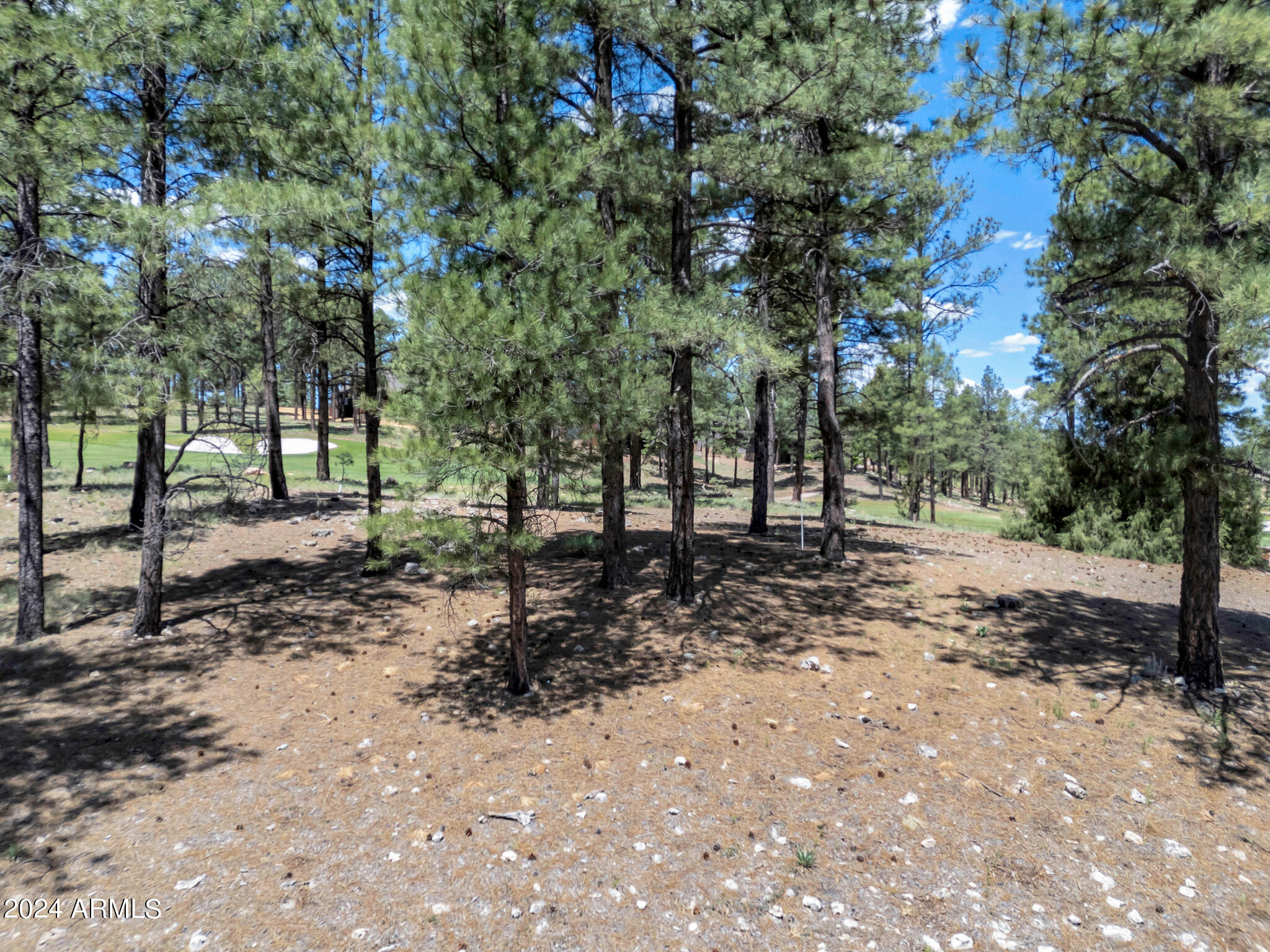 Pine Canyon - Land