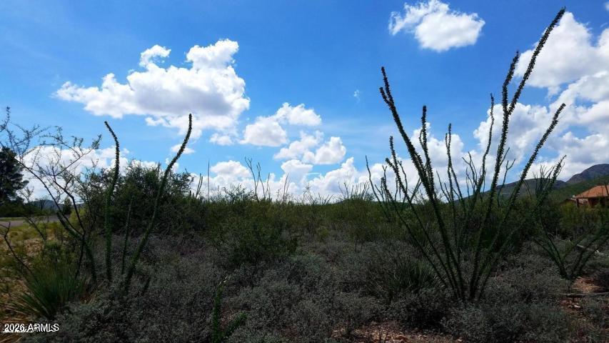 Lot 20 W Cameo Street 20