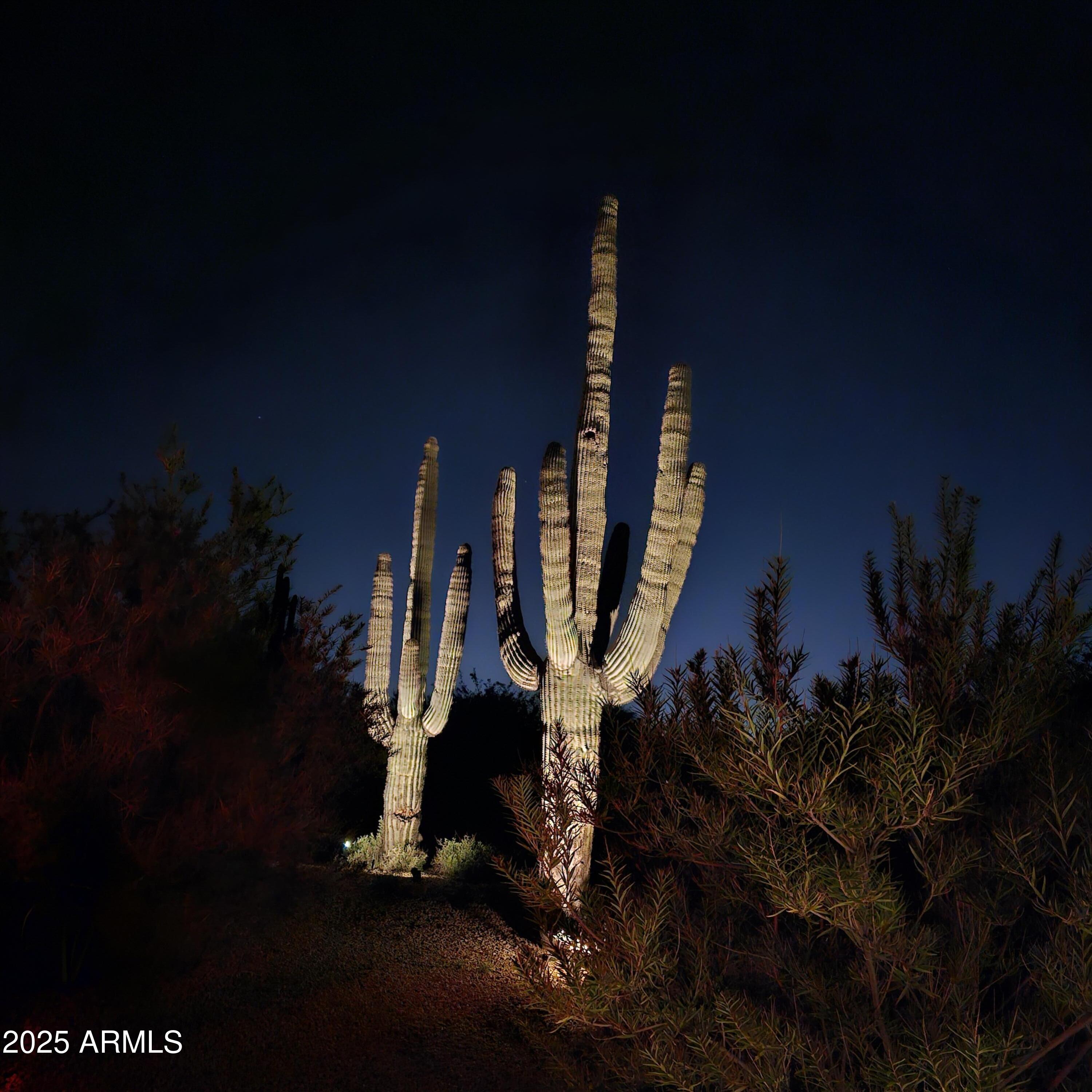 Cave Creek, Arizona 85331, United States, 4 Bedrooms Bedrooms, ,4 BathroomsBathrooms,Residential,Active,233771