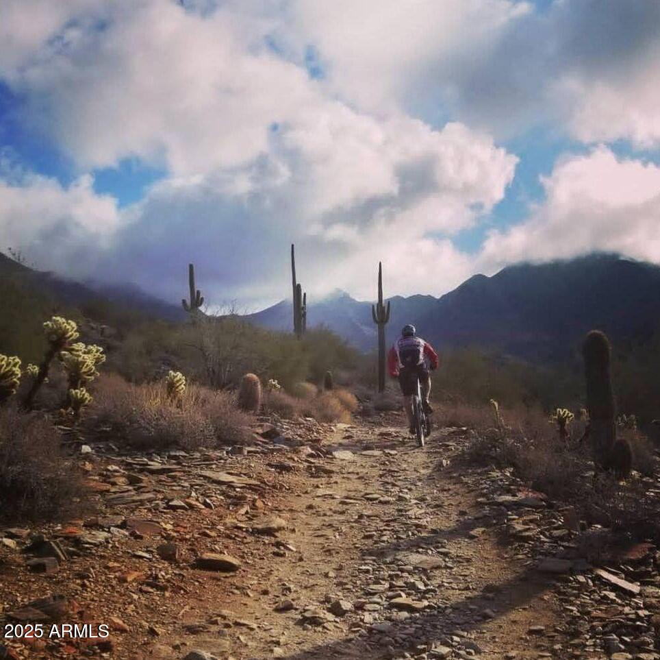 Cave Creek, Arizona 85331, United States, 4 Bedrooms Bedrooms, ,4 BathroomsBathrooms,Residential,Active,233771