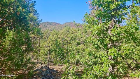 29 Co Rd 3199 -- - Vernon AZ 85940