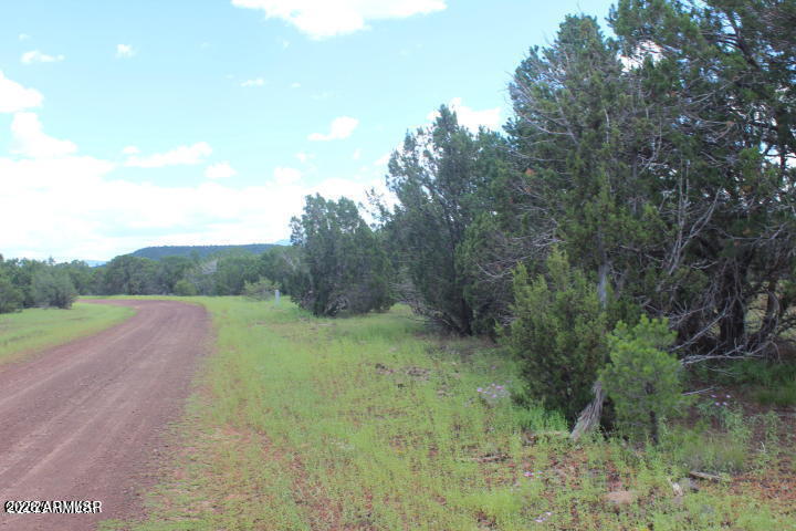 29 Co Rd 3199 -- -