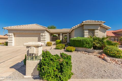 23801 S DOBSON Drive Sun Lakes AZ 85248