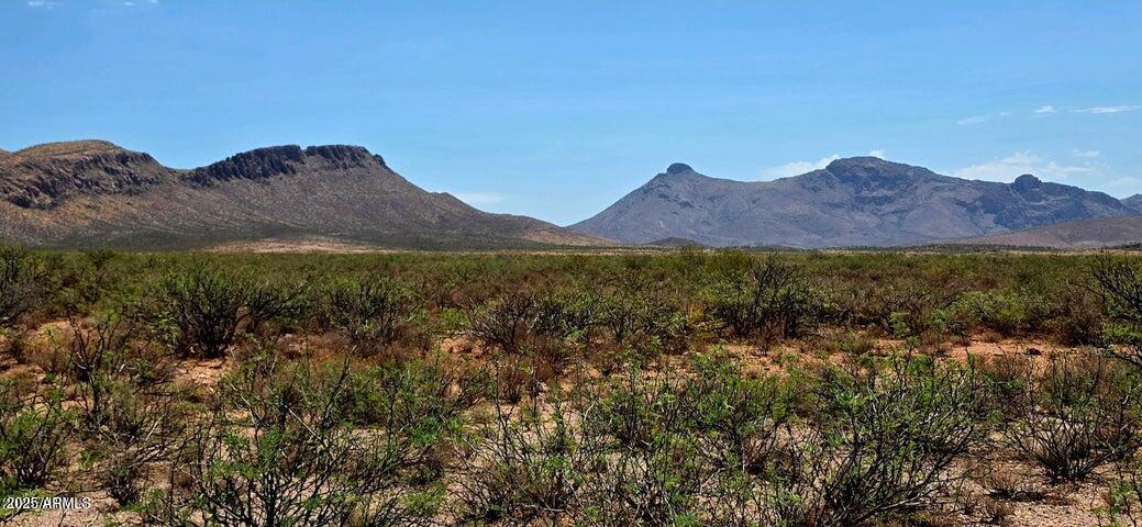 38.76 Acre N Bruno Road -