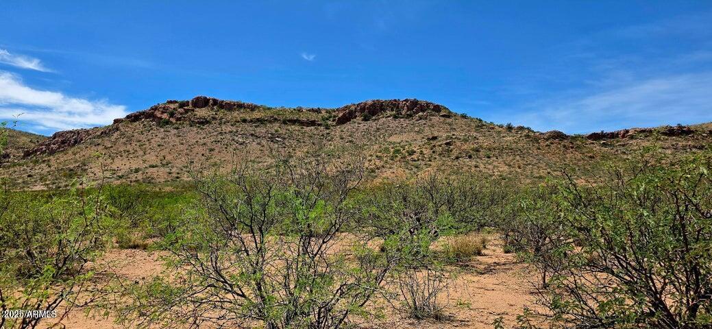 38.76 Acre N Bruno Road -