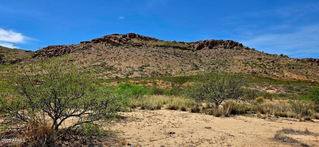 38.76 Acre N Bruno Road -