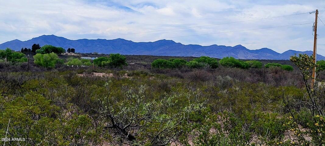 TBD N Willcox Road 5