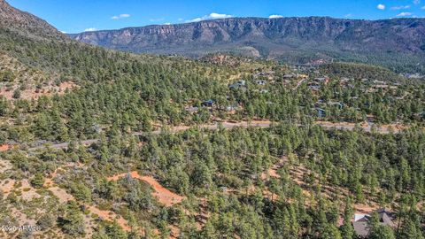 Photo of 18 N Pine Hollow Trail #-, Pine, AZ 85544 (MLS # 6821154)