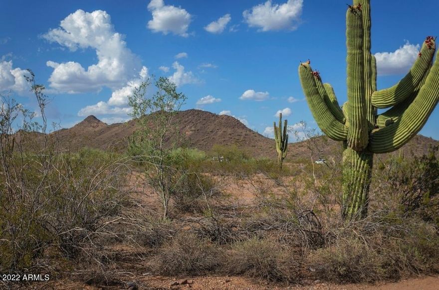 Beautiful five-acre parcel in north central Whispering Ranch is away from the main roads, and has decent access to the well traveled roads in the area. This property has all the native plants and critters you would expect in this pristine area of Arizona desert, a perfect location for you planned future getaway from the madness of the city. Peace and quiet, dark skies at night, clean country air and water in the aquifer underground. This area is starting to develop and when it does, prices will soar, so don't wait. Stop out and walk this parcel as soon as you can.