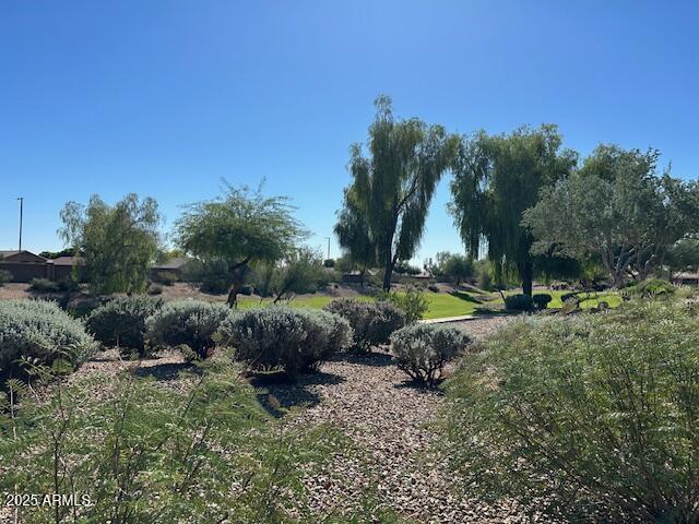 17807 N NAVARRO Court