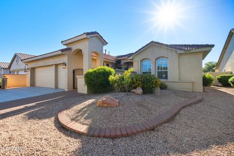 24120 S Stoney Path Drive Sun Lakes AZ 85248