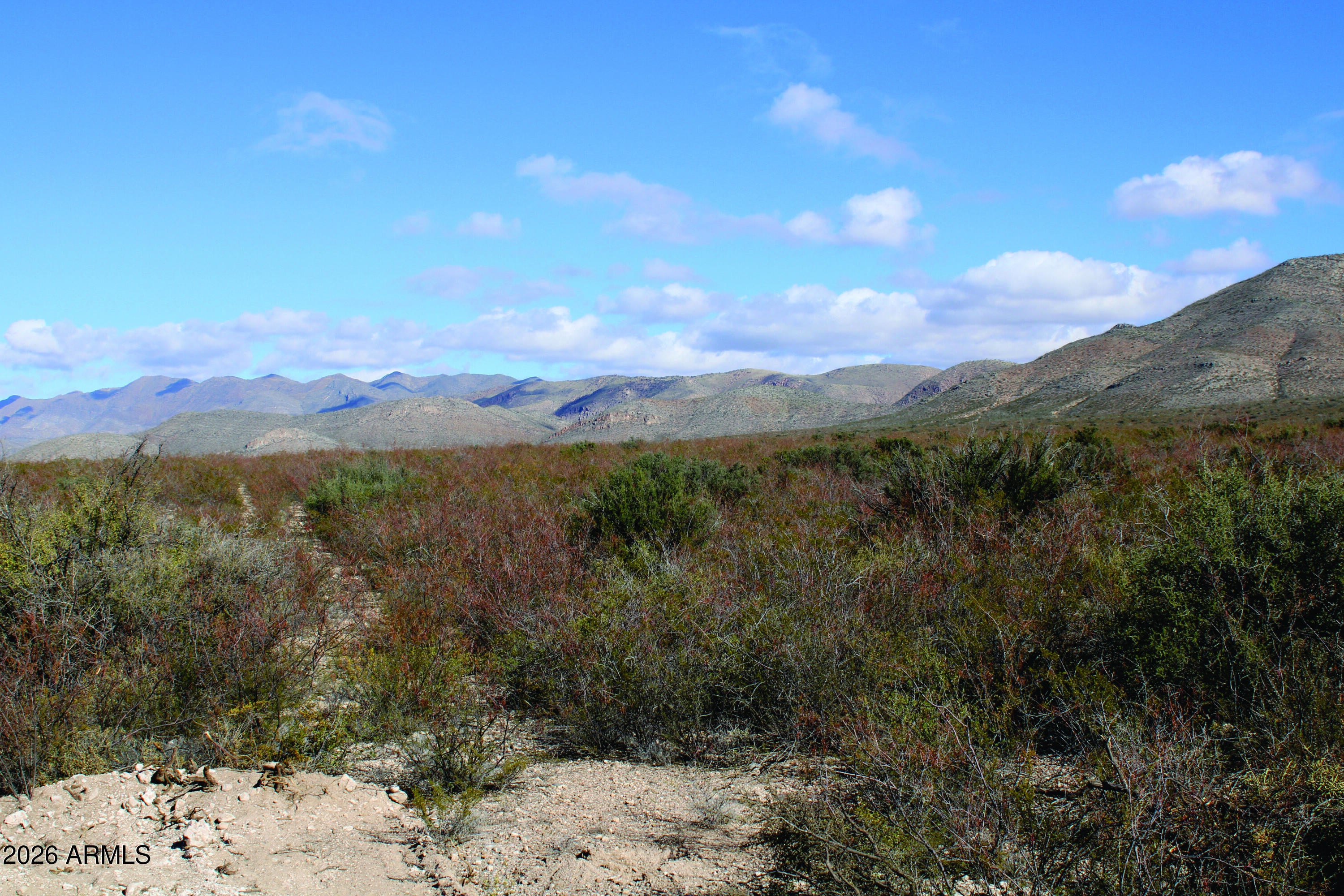 4.79 Acres La Defensa Lane 183