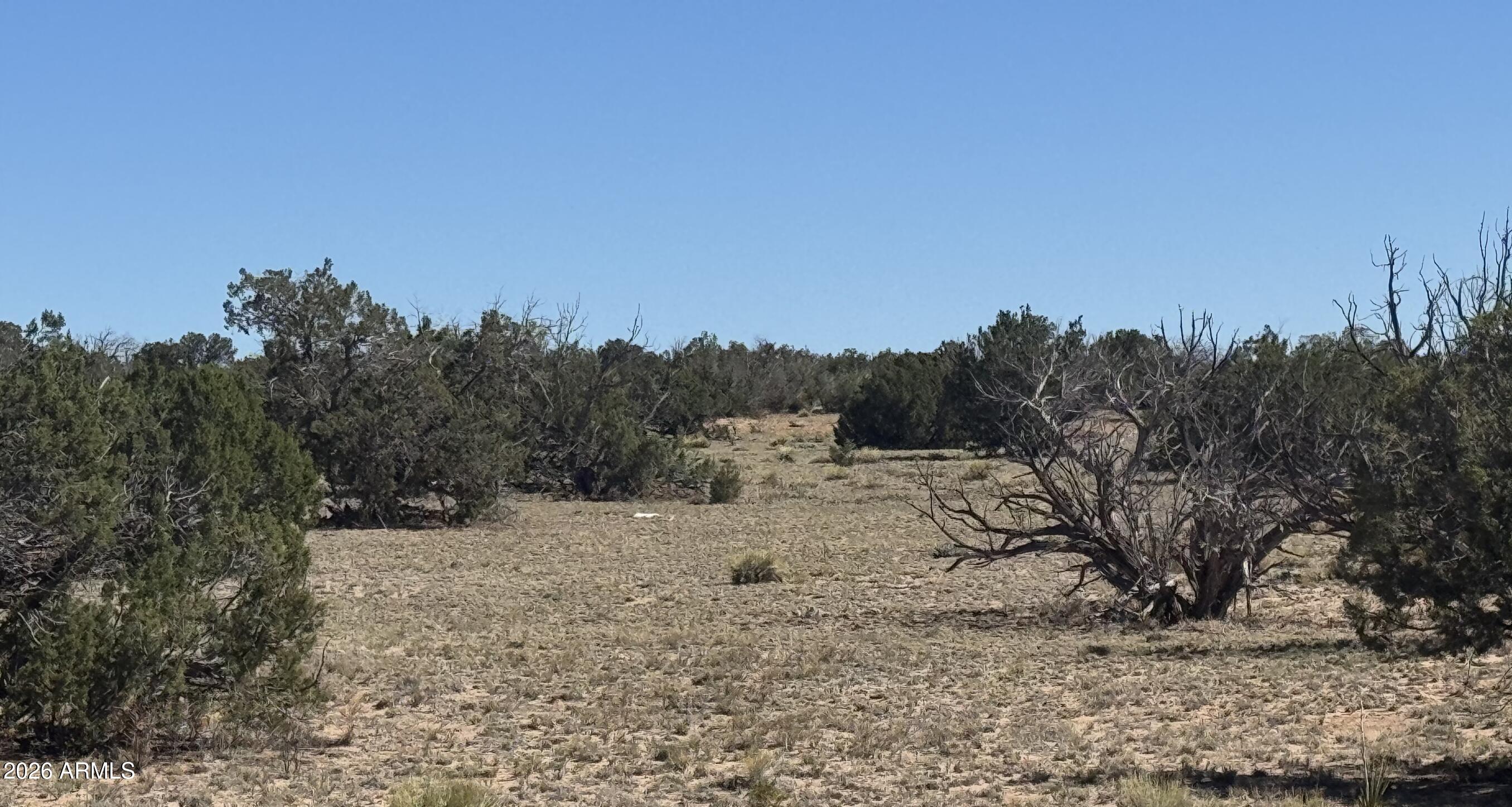 WOODLAND VALLEY RANCH UNIT 5 - Land
