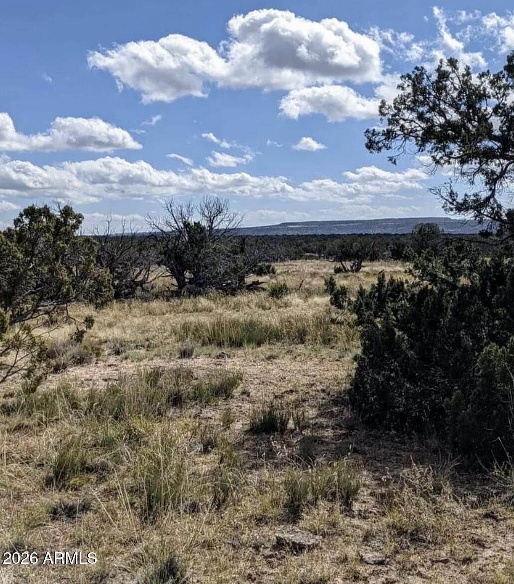 WOODLAND VALLEY RANCH UNIT 5 - Land