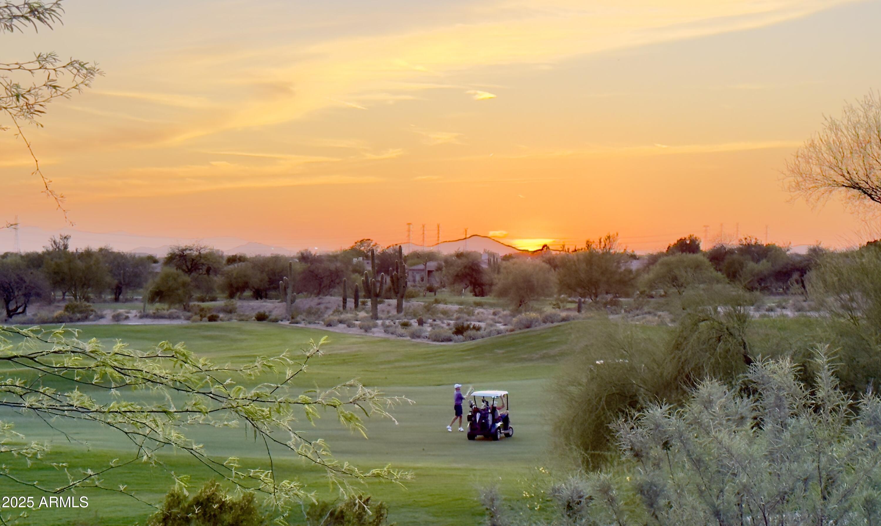 20750 N 87TH Street 2031