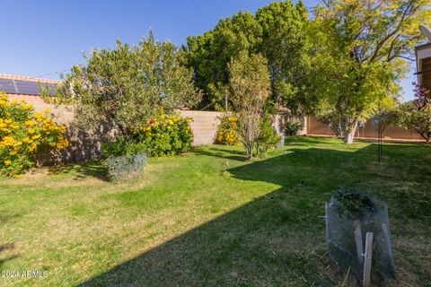 A home in Mesa