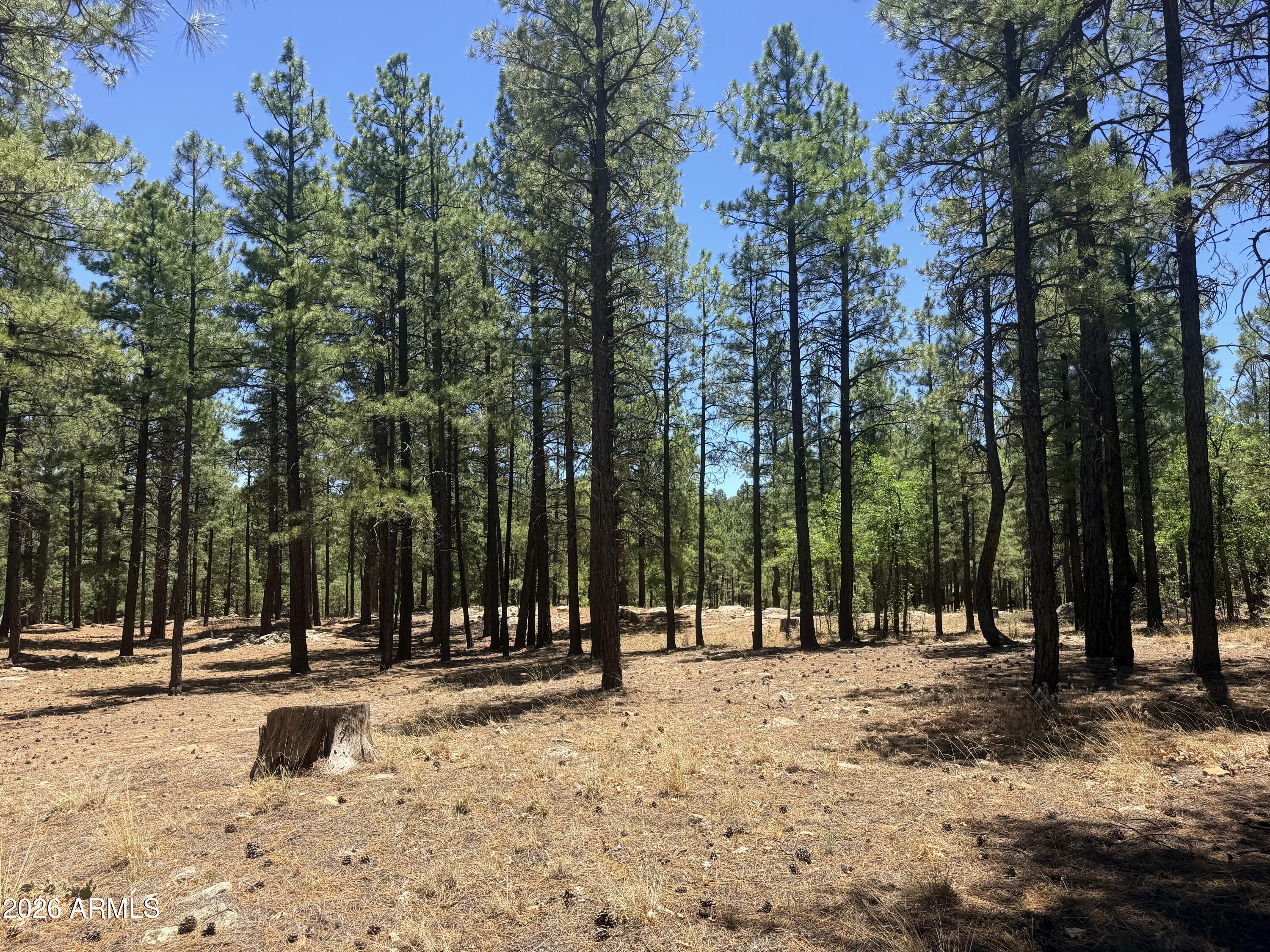 4215 APACHE Drive 428