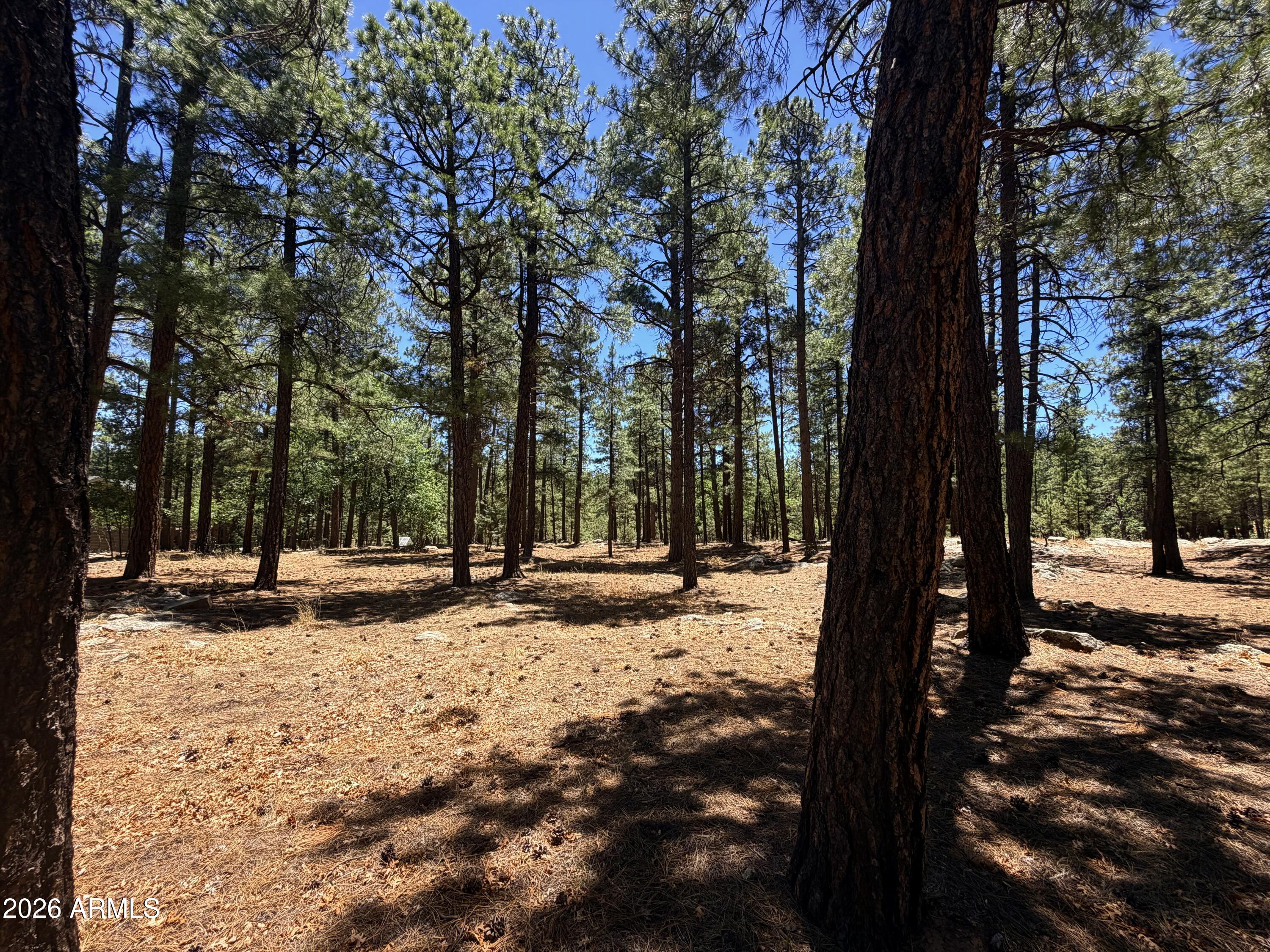 4215 APACHE Drive 428