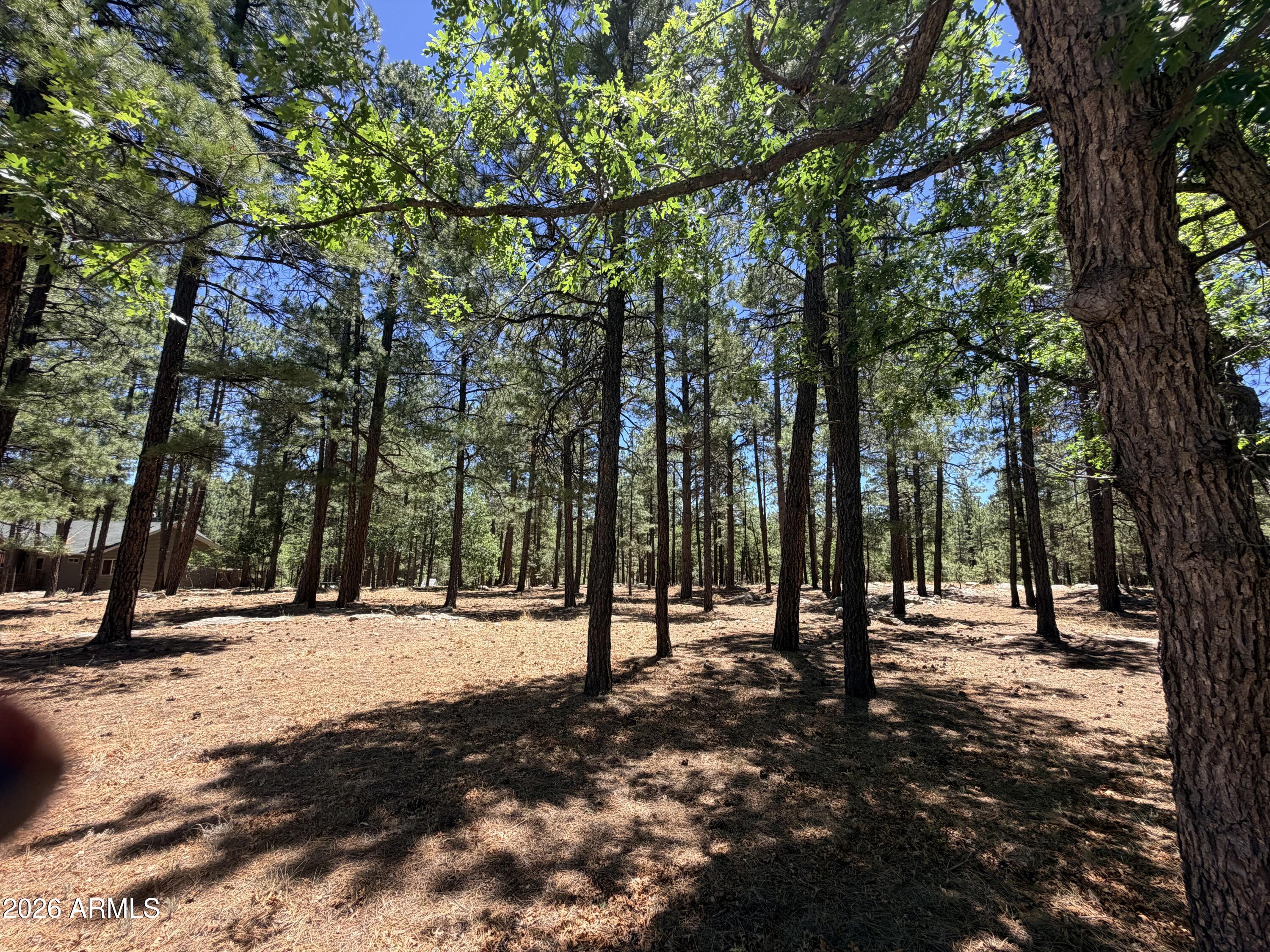 4215 APACHE Drive 428