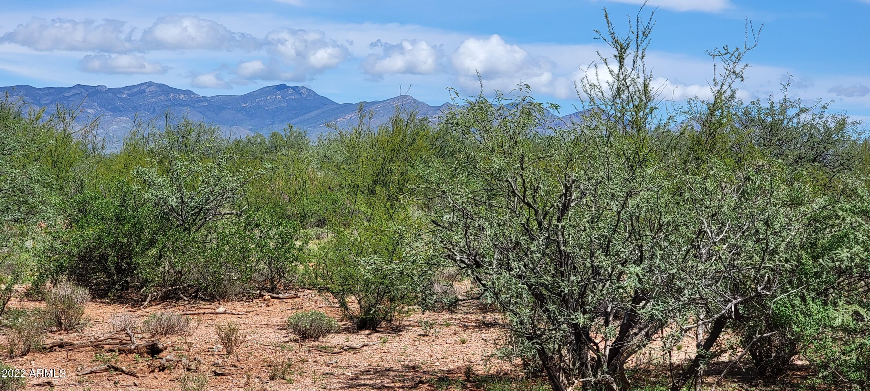 THE SAN IGNACIO BABOCOMARI LAND GRANT - Land