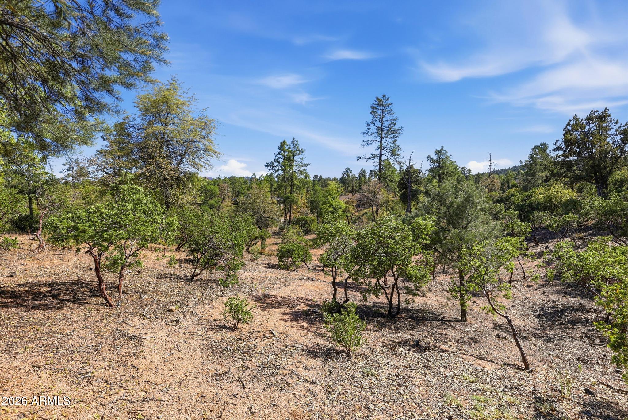 CHAPARRAL PINES PHASE 3 - Land