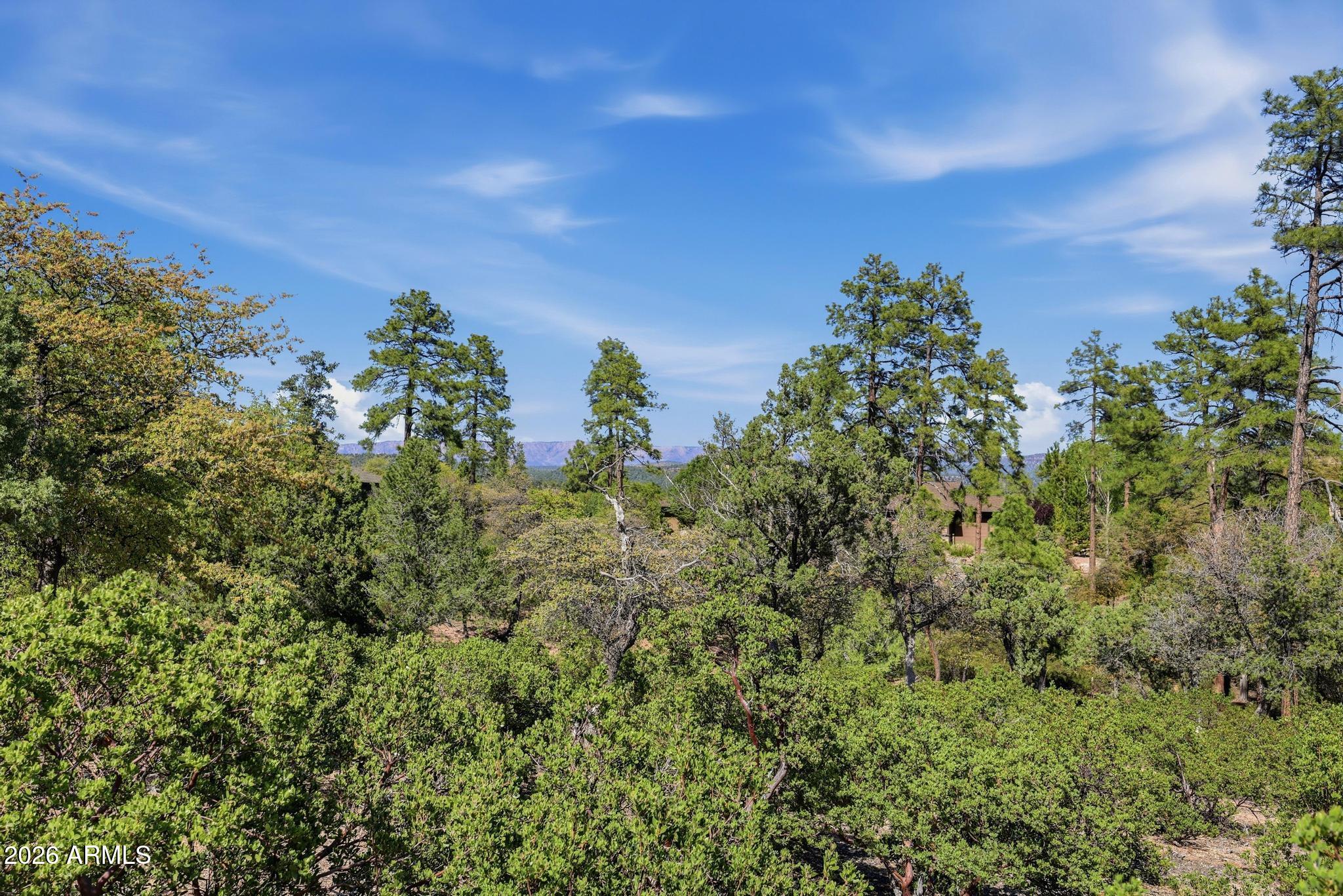 CHAPARRAL PINES PHASE 3 - Land