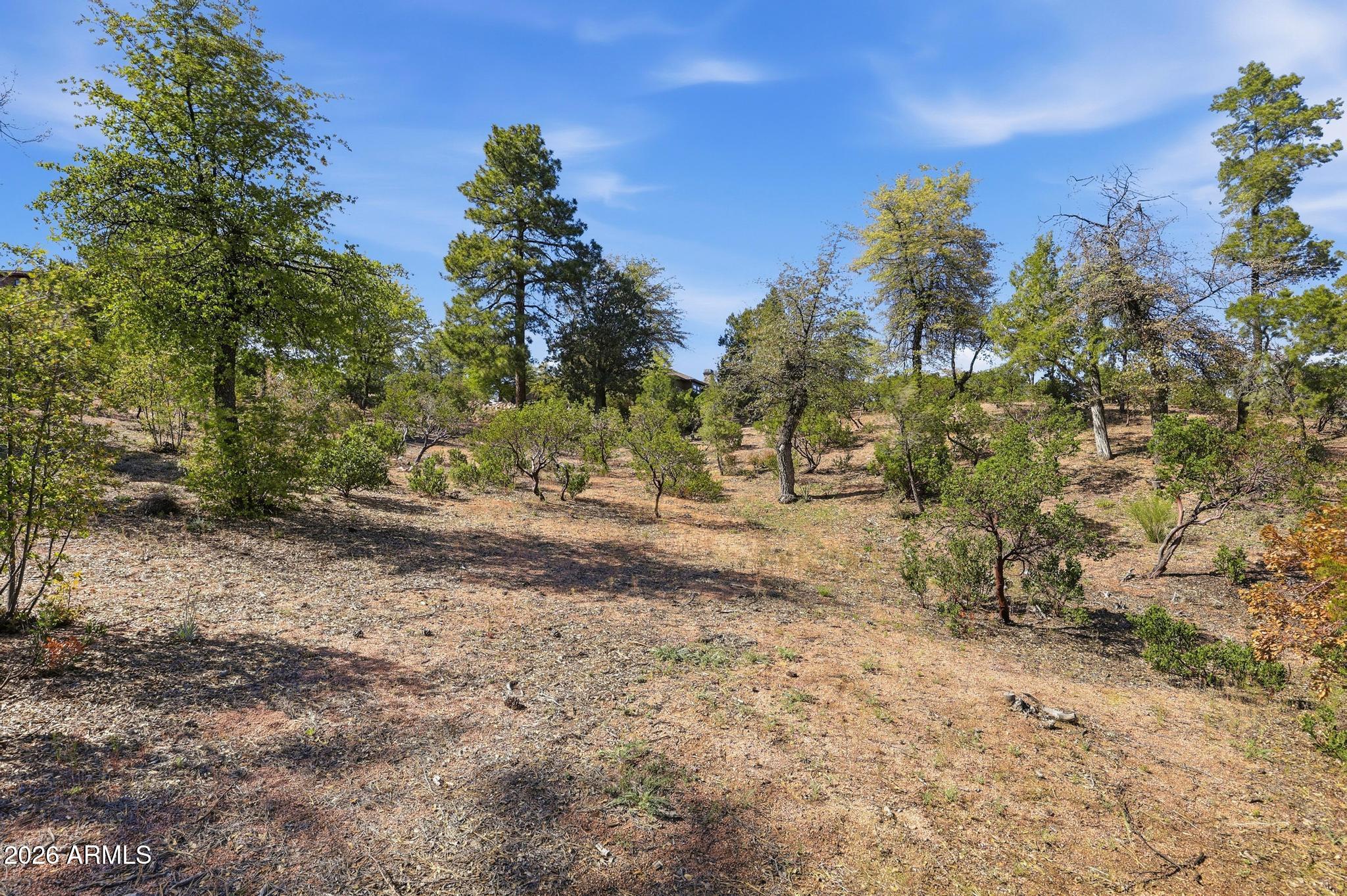 CHAPARRAL PINES PHASE 3 - Land