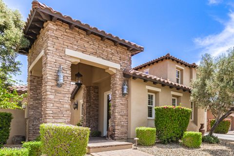 3441 S HALSTED Place Chandler AZ 85286
