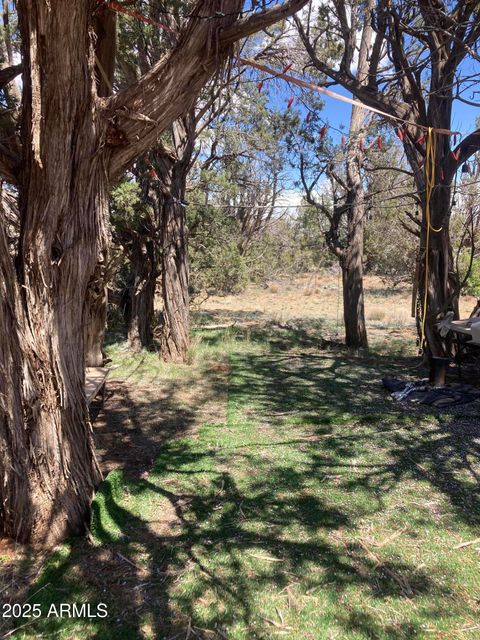 00 Off of Rainy RD -- 64 Ash Fork AZ 86320