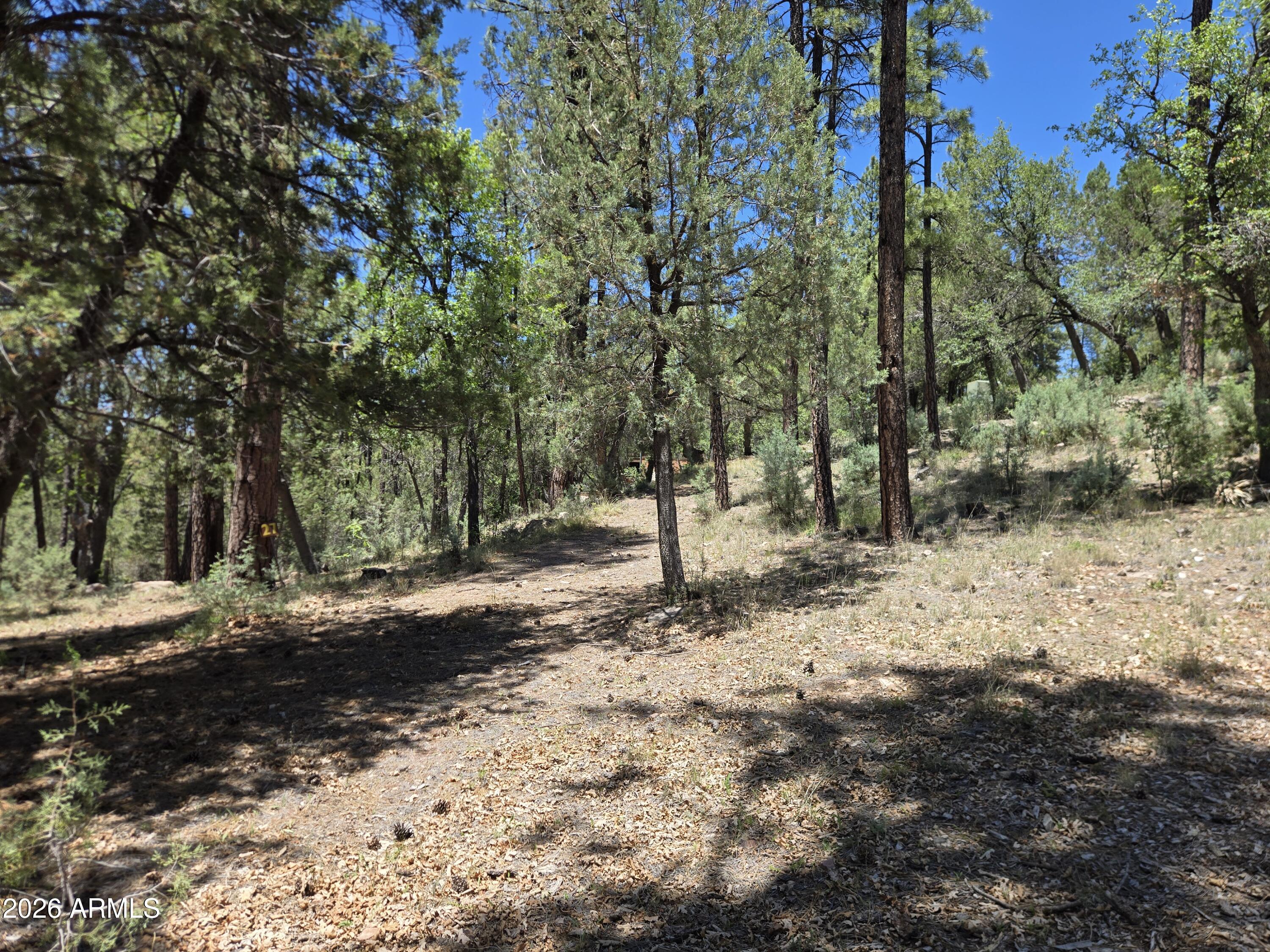 HUNTER CREEK RANCH - Land