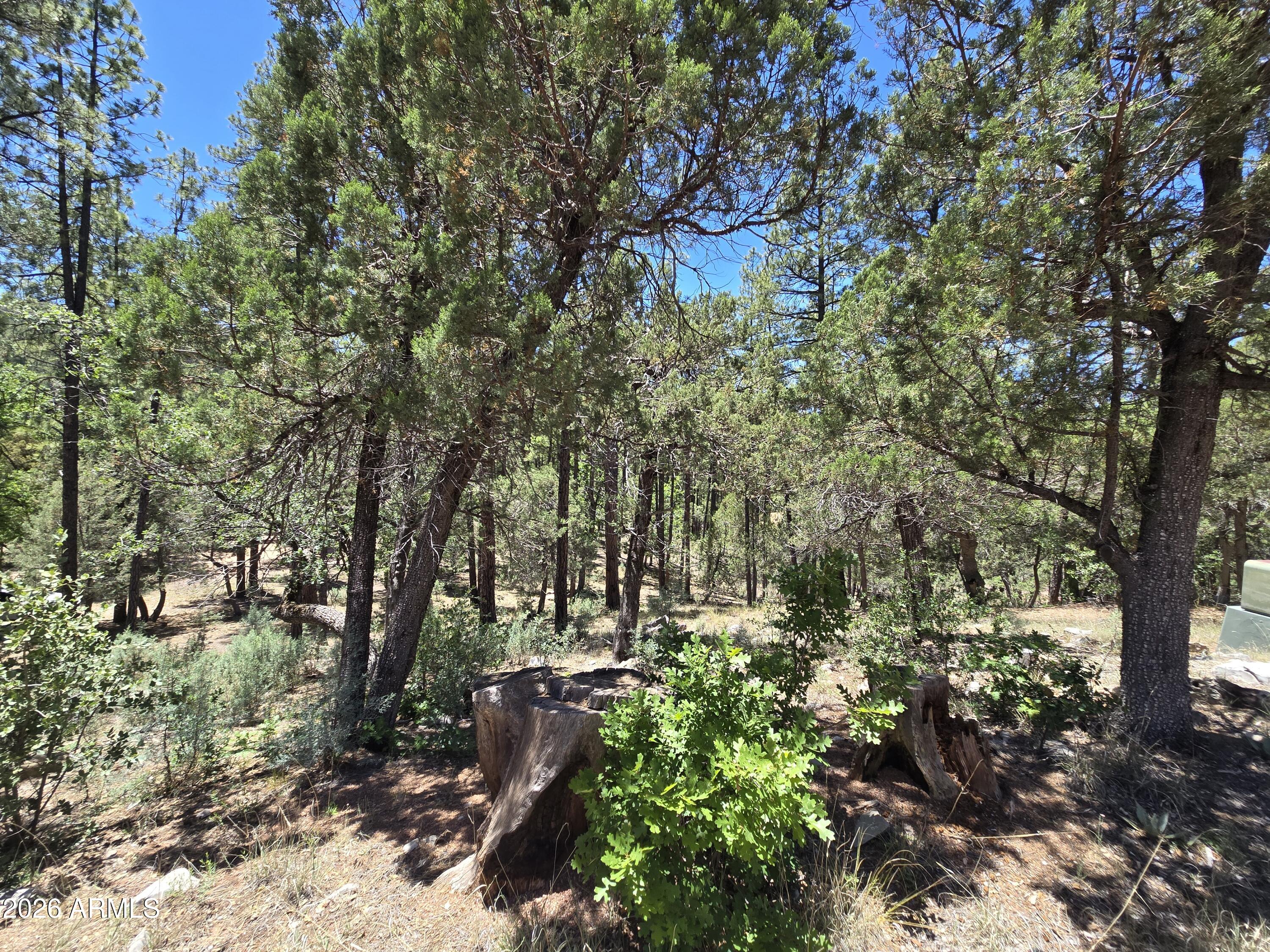 HUNTER CREEK RANCH - Land