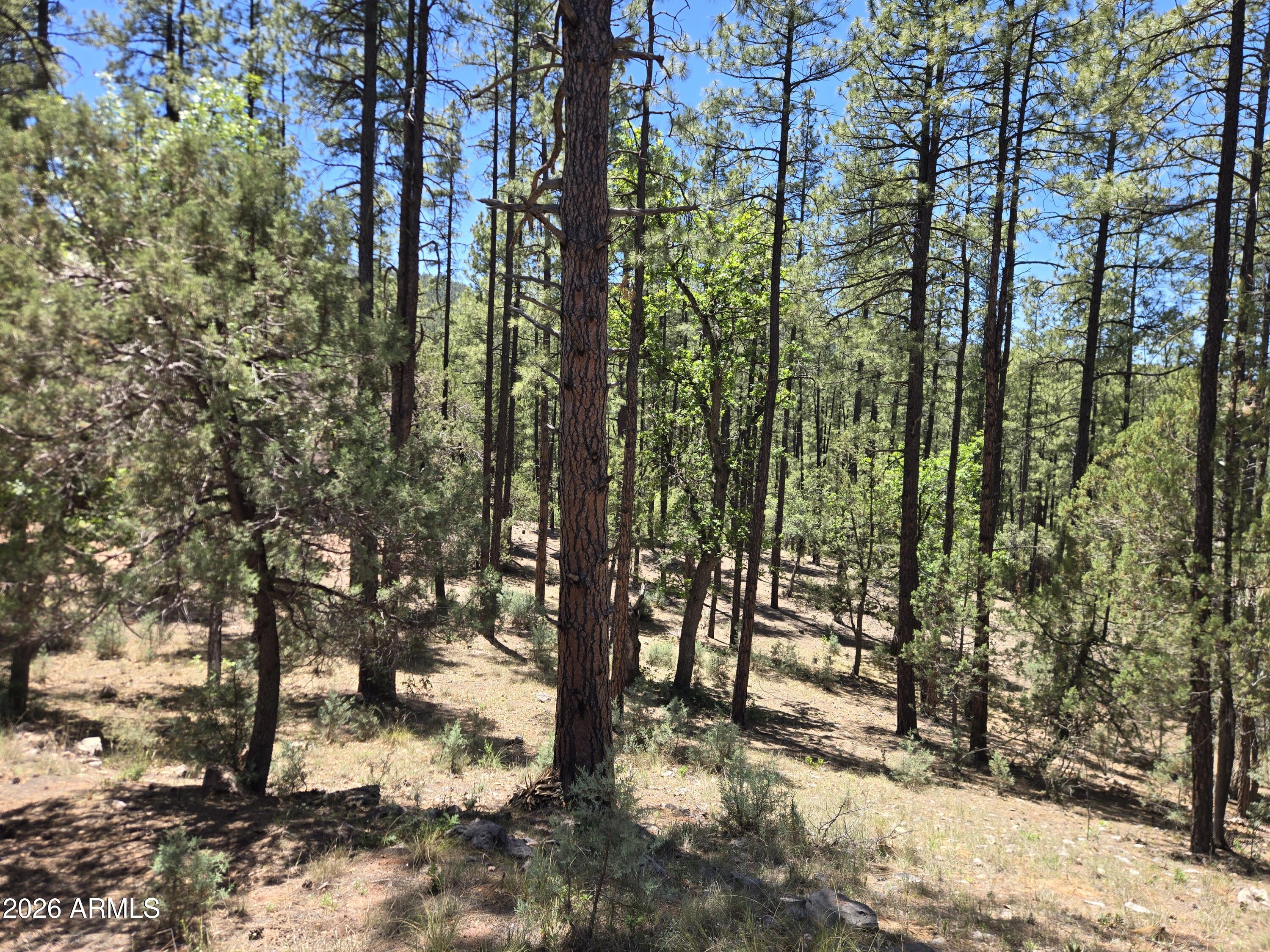 HUNTER CREEK RANCH - Land