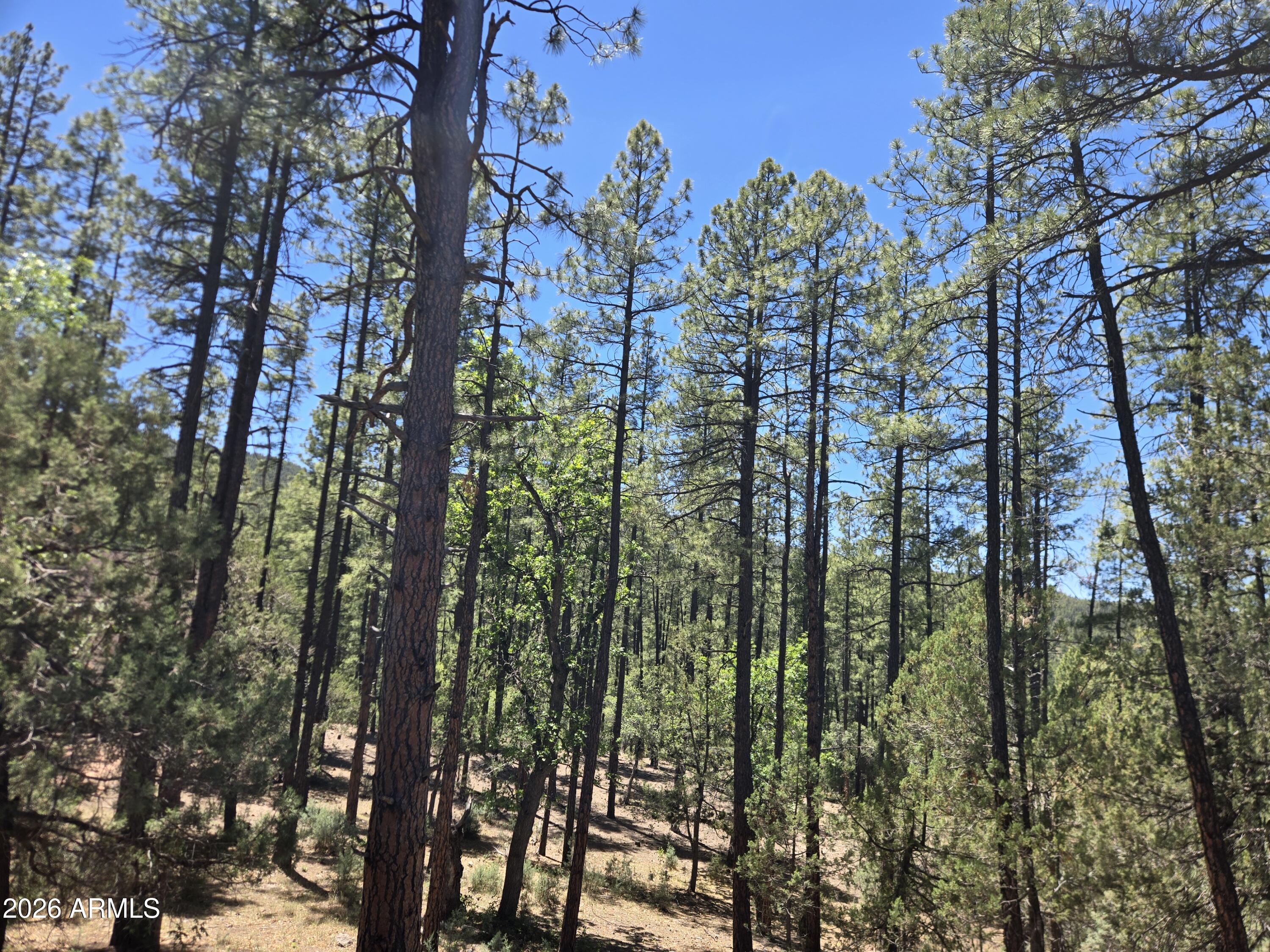 HUNTER CREEK RANCH - Land