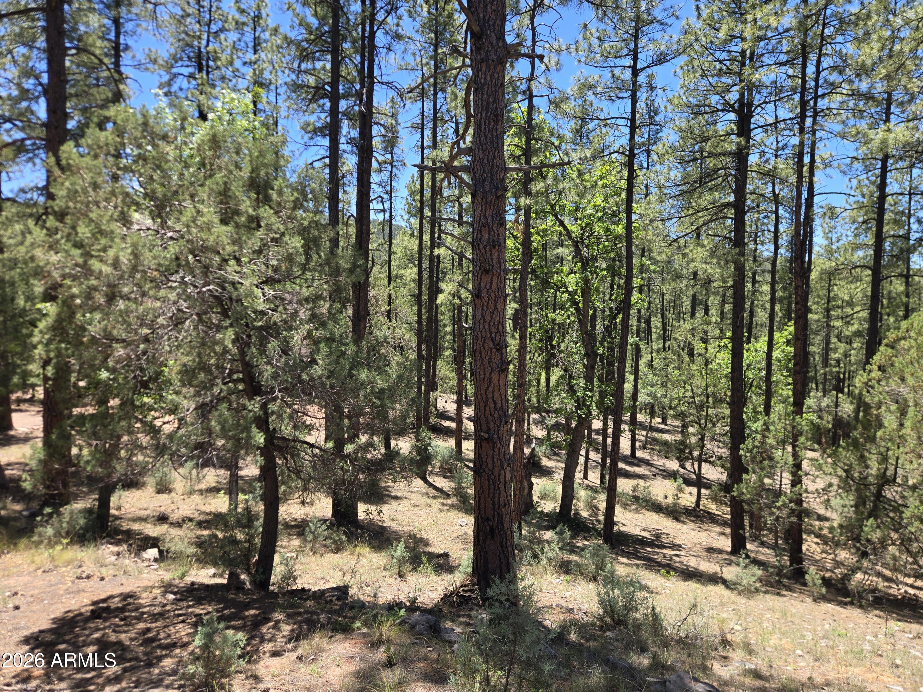 HUNTER CREEK RANCH - Land