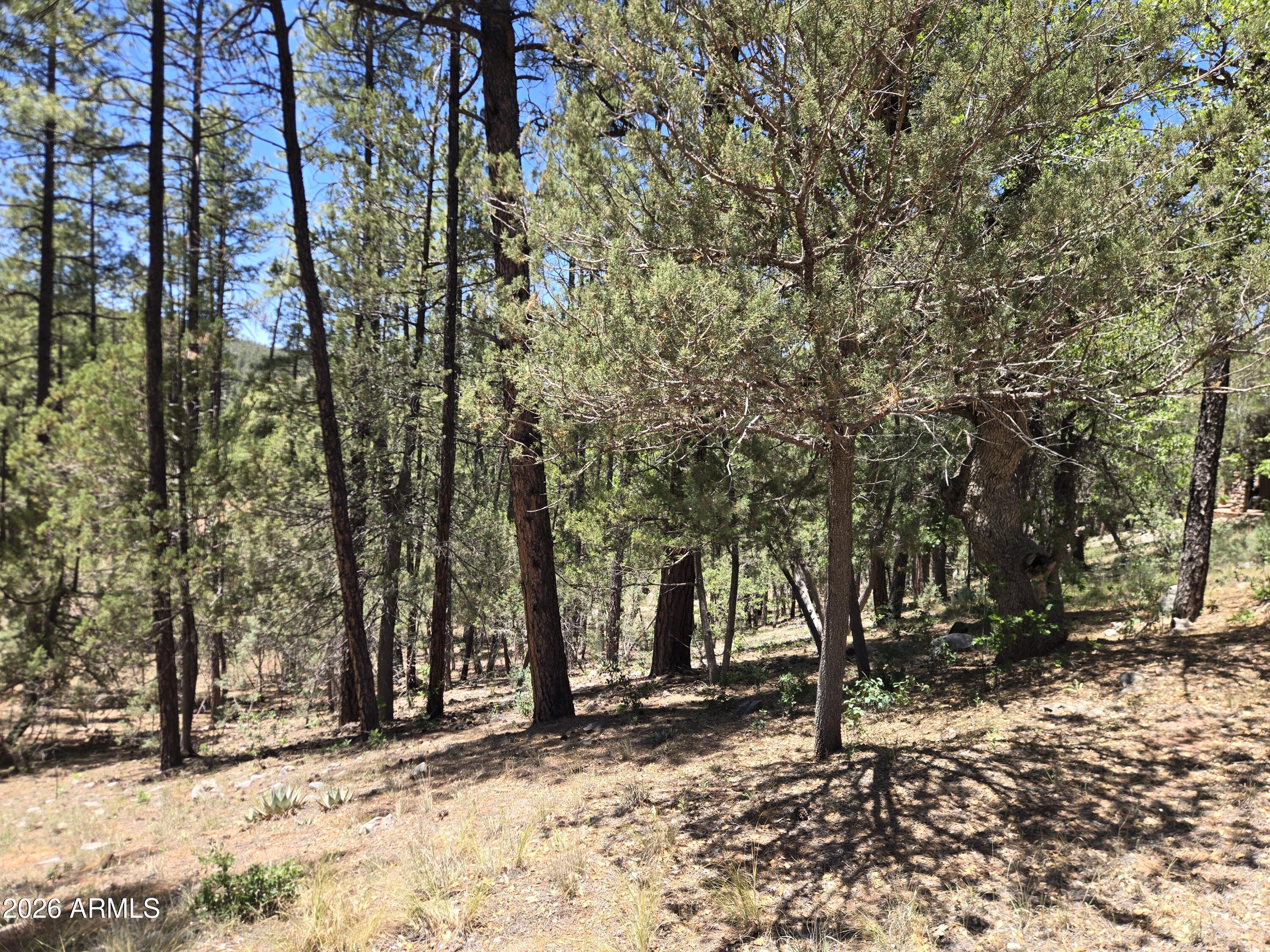HUNTER CREEK RANCH - Land